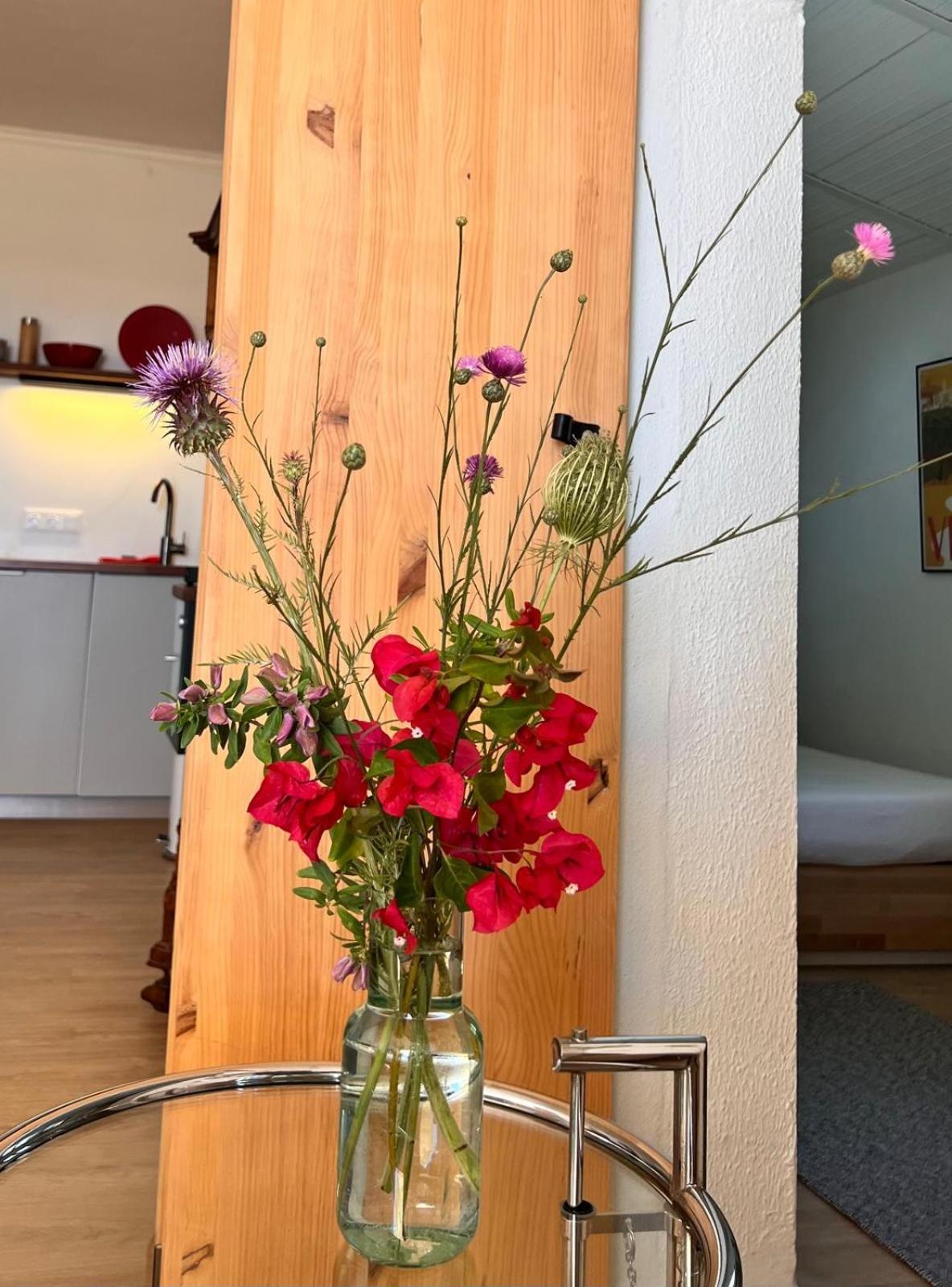 Apartment Arriba Stijlvol Met Zwembad En Tuin Conil De La Frontera